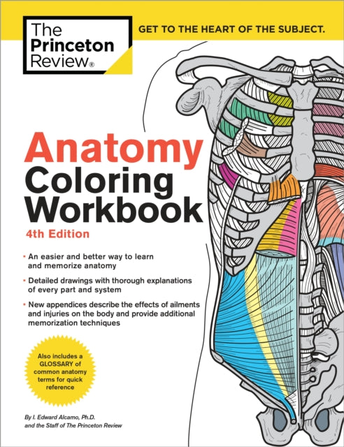 Binding: Paperback
Description: An Easier and Better Way to Learn Anatomy. The Anatomy Coloring Workbook 4th Edition uses the act of coloring to provide you with a clear and concise understanding of anatomy.