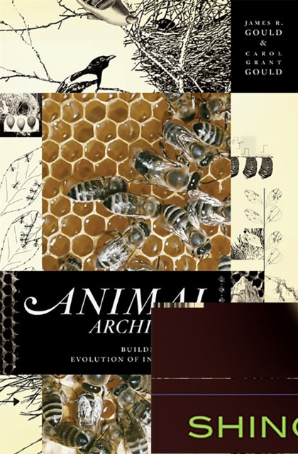 Binding: Paperback
Description: " Engrossing The prospect of using the structures an animal builds to extrapolate its cognitive capability is irresistible. Fortunately for readers the levelheaded Goulds prove wonderful guides through these shadowy corridors at once skeptical and reverent.