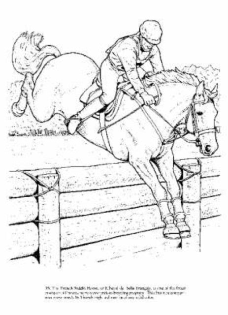 Binding: Paperback
Title: Big Book Of Horses To Color
Author(s): Green John
Publisher: Dover Publications Inc.
Barcode: 9780486451787
Pages: 160 Pages
Publication Date: 11/17/2006
Series: Dover Nature Coloring Book
Category: Pets (Children's / Teenage)