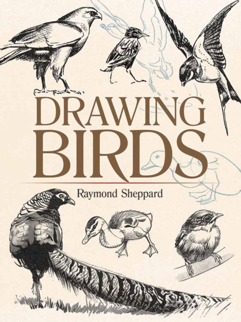 Binding: Paperback
Description: British illustrator Raymond Sheppard was celebrated for his nature and animal studies and this volume combines two of his most valuable guides How to Draw Birds (1940) and More Birds to Draw (1956).