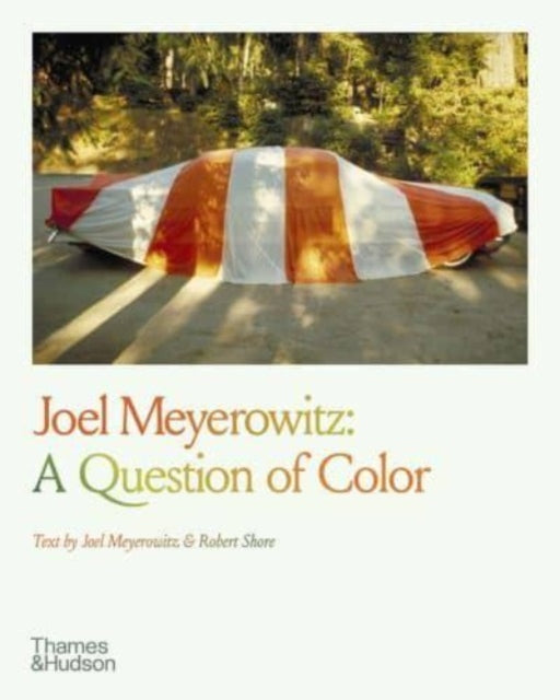 Joel Meyerowitz: A Question Of Color