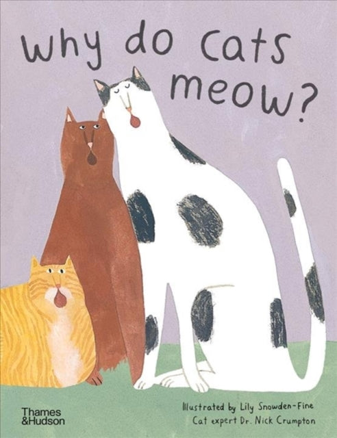 Why Do Cats Meow? Curious Questions About Your Favourite Pet