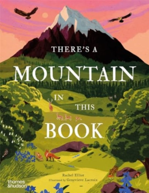 There's A Mountain In This Book