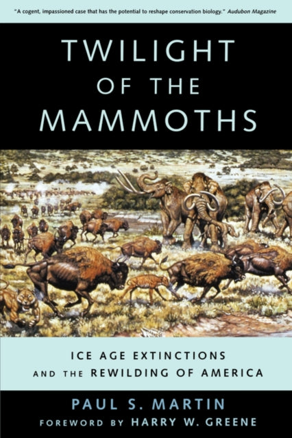 Binding: Paperback
Description: Taking readers from Rampart Cave in the Grand Canyon to other important fossil sites in Arizona and Chile this book covers the rich evolutionary legacy and shows why the author has come to believe that the earliest Americans literally hunted these animals to death.