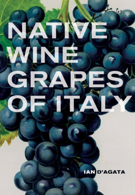 Binding: Hardcover
Description: Mountainous terrain volcanic soils innumerable microclimates and an ancient culture of winemaking influenced by Greeks Phoenicians and Romans make Italy the most diverse country in the world of wine.
