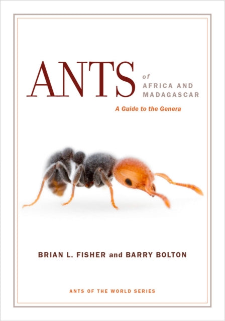 Binding: Paperback
Description: Across the Afrotropical and Malagasy regions ants are one of the most conspicuous and ecologically dominant animal groups. From driver ants to weaver ants there are over 2,000 species in Africa alone and over 600 in Madagascar.