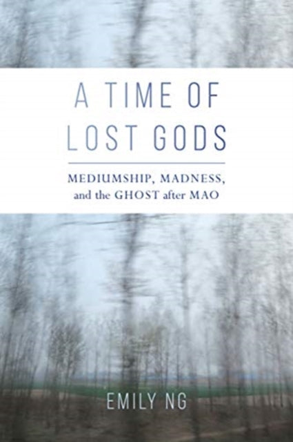 Binding: Paperback
Description: Traversing visible and invisible realms A Time of Lost Gods attends to profound rereadings of politics religion and madness in the cosmic accounts of spirit mediumship.