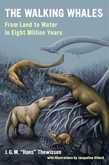 Binding: Paperback
Description: Hans Thewissen a leading researcher in the field of whale paleontology and anatomy gives a sweeping first - person account of the discoveries that brought to light the early fossil record of whales.