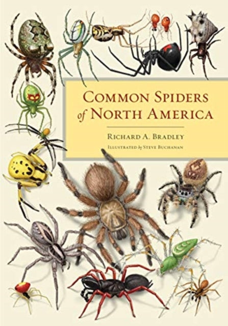Binding: Paperback
Description: This stunning field guide provides a comprehensive resource for identifying and appreciating nearly 500 species of spiders. Arachnids are among the most diverse groups of terrestrial invertebrates yet they are among the least studied and understood.