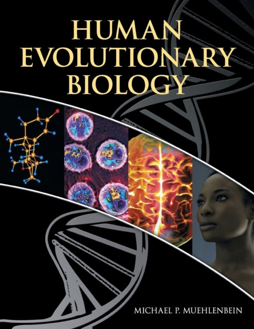 Binding: Paperback
Description: This wide - ranging and inclusive text provides an invaluable review of topics in human evolution variation and adaptability. The chapters are organized into four sections exploring genetic and phenotypic variation reproduction growth and development and evolutionary medicine.
