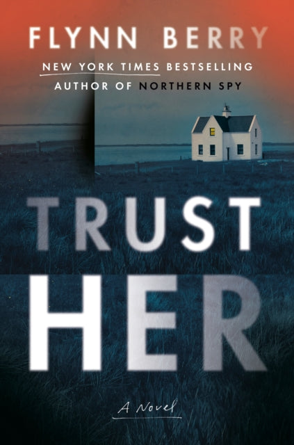 Binding: Hardcover
Description: Three years after they narrowly escaped the IR a's worst punishment for informing Northern Irish sisters Tessa and Marian Daly have built a new life in Dublin with their young children.
