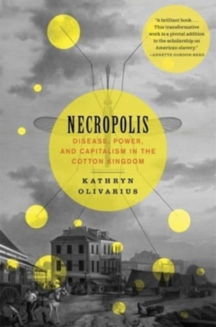 Binding: Paperback
Description: In antebellum New Orleans whites and Blacks died in droves from yellow fever. But the fortunes of survivors were less equal. Kathryn Olivarius explores the resulting framework of immunocapital. For whites immunity signaled creditworthiness.