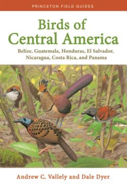 Binding: Paperback
Description: The first comprehensive field guide to the birds of Central America Birds of Central America is the first comprehensive field guide to the avifauna of the entire region including Belize Guatemala Honduras El Salvador Nicaragua Costa Rica and Panama.