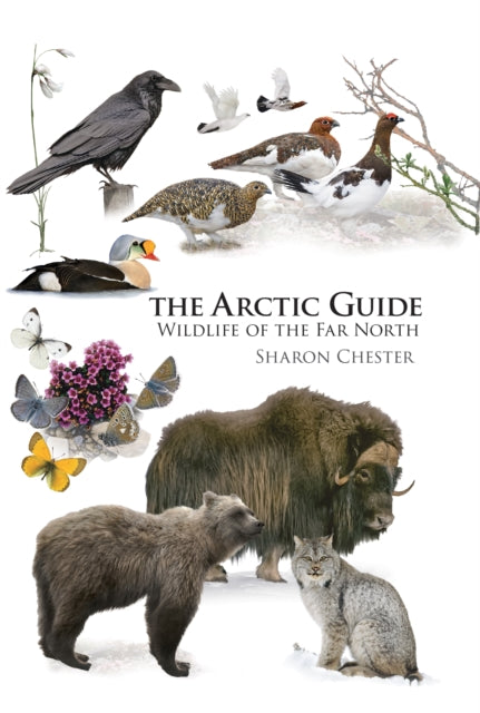 Binding: Paperback
Description: The Arctic Guide presents the traveler and naturalist with a portable authoritative guide to the flora and fauna of earth's northernmost region.