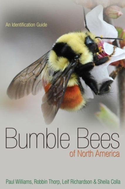 Binding: Paperback
Description: A guide to North American bumble bees. It focuses on the molecular research that shows the enormous color variation within species and guides readers through the many confusing convergences between species.