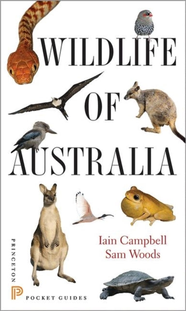 Binding: Paperback
Description: The go - to introductory guide to Australia's diverse wildlife and habitats Ideal for the nature - loving traveler Wildlife of Australia is a handy photographic pocket guide to the most widely seen birds mammals reptiles amphibians and habitats of Australia.