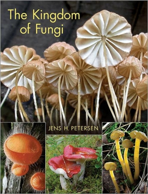 Binding: Hardcover
Description: The essential photographic guide to the world's fungi The fungi realm has been called the "hidden kingdom " a mysterious world populated by microscopic spores gigantic mushrooms and toadstools and a host of other multicellular organisms ranging widely in color size and shape.