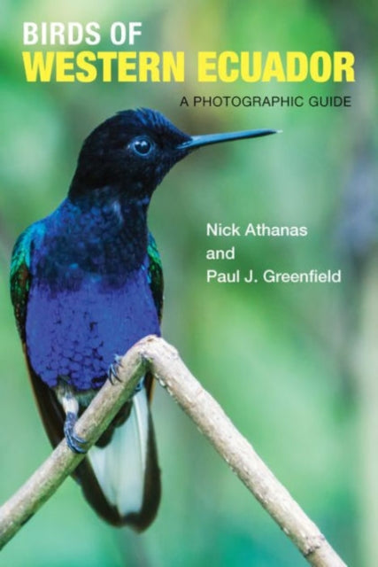 Binding: Paperback
Description: Western Ecuador is famed for its astonishingly diverse birdlife from colorful hummingbirds and outrageous toucans to more difficult groups like raptors flycatchers and ovenbirds. Here is the ultimate photographic guide to the spectacular birds of this region.