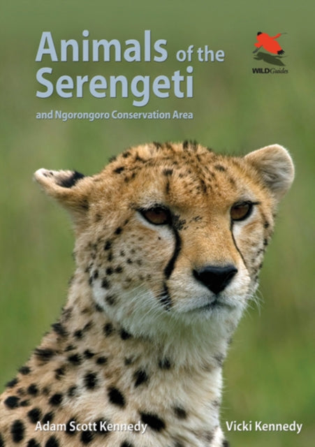 Binding: Paperback
Description: Containing 146 color photos this book looks at the mammals and reptiles most likely to be encountered in the world - famous Serengeti National Park and Ngorongoro Crater. It includes 89 species of mammal and reptile.
