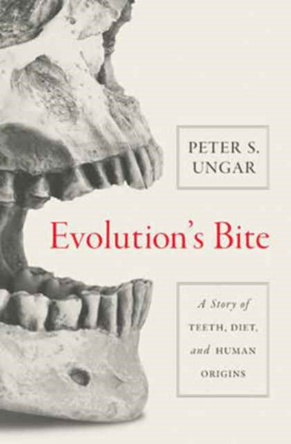 Binding: Hardcover
Description: What teeth can teach us about the evolution of the human species Whether we realize it or not we carry in our mouths the legacy of our evolution. Our teeth are like living fossils that can be studied and compared to those of our ancestors to teach us how we became human.
