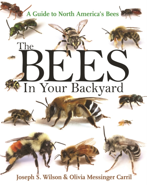 Binding: Paperback
Description: The Bees in Your Backyard provides an engaging introduction to the roughly 4,000 different bee species found in the United States and Canada dispelling common myths about bees while offering essential tips for telling them apart in the field.
