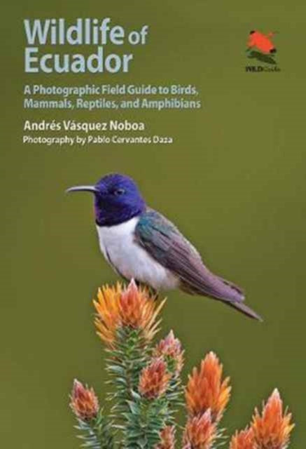 Binding: Paperback
Description: Mainland Ecuador's spectacular wildlife makes it a magnet for nature tourists but until now there hasn't been a go - to all - in - one guide geared to the general reader.