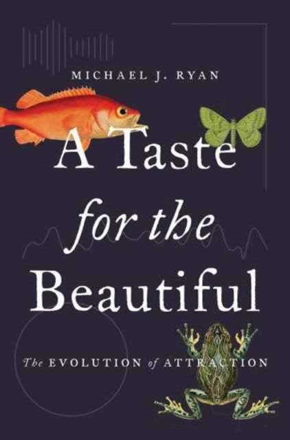 Ryan Michael J. - A Taste For The Beautiful The Evolution Of Attraction - Hardcover