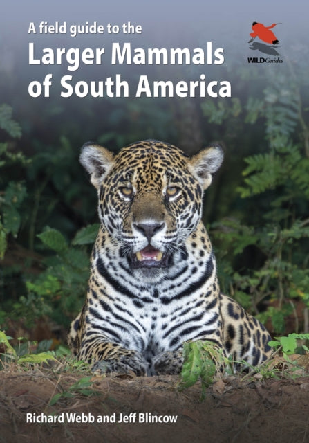 Blincow Jeff - A Field Guide To The Larger Mammals Of South America - Paperback