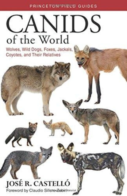 Castello Dr. Jose R. - Canids Of The World Wolves Wild Dogs Foxes Jackals Coyotes And Their Relatives - Paperback