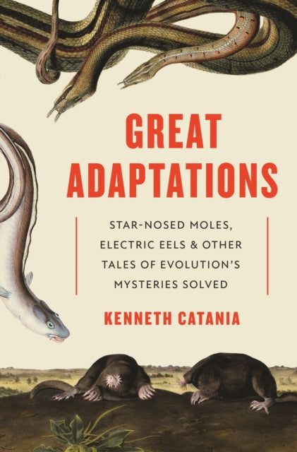Binding: Hardcover
Description: In Great Adaptations
Title: Great Adaptations Star - Nosed Moles Electric Eels And Other Tales Of Evolutions Mysteries Solved
Author(s): Catania Kenneth
Publisher: Princeton University Press
Barcode: 9780691195254
Pages: 224 Pages, 8 Pg Color Insert. 58 B/W Illus.
