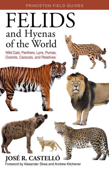 Binding: Paperback
Description: The most comprehensive and user - friendly photographic field guide to the world's wildcats and hyenas.
Title: Felids And Hyenas Of The World Wildcats Panthers Lynx Pumas Ocelots Caracals And Relatives
Author(s): Castello Dr. Jose R.