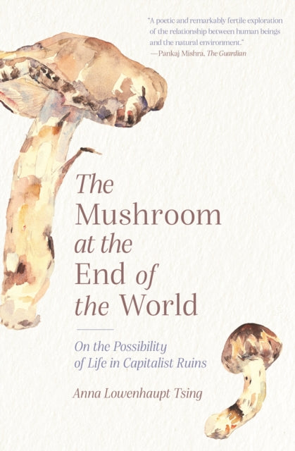 Binding: Paperback
Description: " A poetic and remarkably fertile exploration of the relationship between human beings and the natural environment." Pankaj Mishra The Guardian" I'm very grateful to have this book." Ursula K.