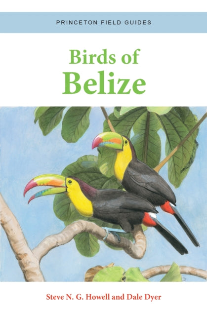 Dyer Dale - Birds Of Belize - Paperback