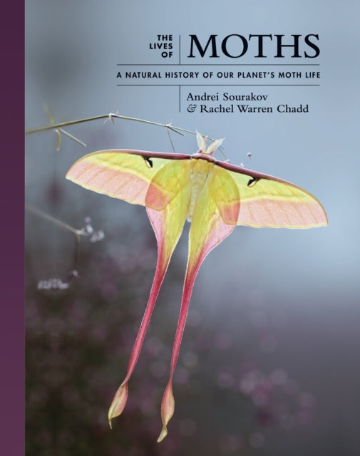 Binding: Hardcover
Description: A richly illustrated look at the natural history of moths Moths are among the most underappreciated insects on the planet yet they make up the majority of some 180,000 known species of Lepidoptera.