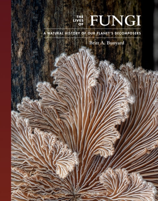 Binding: Hardcover
Description: A fascinating and richly illustrated exploration of the natural history of fungi We know fungi are important for us as well as the environment. But how they live and what they can do remains mysterious and surprising.