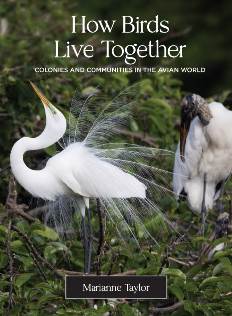 Binding: Hardcover
Description: A beautifully illustrated exploration of the ways birds cohabit Featuring dramatic and delightful wild bird colonies and communities How Birds Live Together offers a broad overview of social living in the avian world.