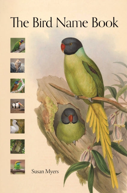 Binding: Hardcover
Description: A marvelously illustrated A - to - Z compendium of bird names from around the globe The Bird Name Book is an alphabetical reference book on the origins and meanings of common group bird names from accentor to zeledonia.