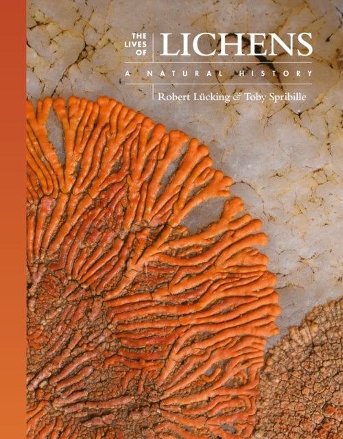 Binding: Hardcover
Description: A richly illustrated guide to lichens and their biology Existing at the margins of life lichens are the result of symbiotic relationships between fungi and photosynthesizing partners in the form of algae or cyanobacteria.