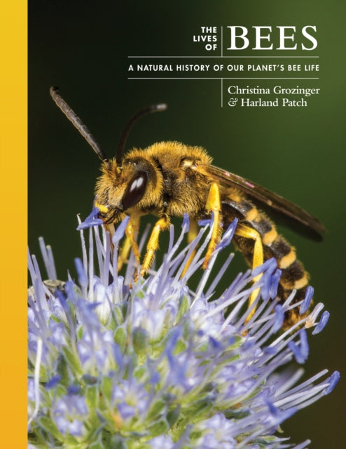 Binding: Hardcover
Description: A beautifully illustrated guide to the vibrant and richly diverse world of bees The Lives of Bees provides a one - of - a - kind look at the life and natural history of bees.