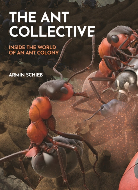 Binding: Hardcover
Description: Ants come alive on this fabulously illustrated journey into the heart of a bustling colony Ants share a vibrant and complex communal life and remarkable abilities to communicate with each other.