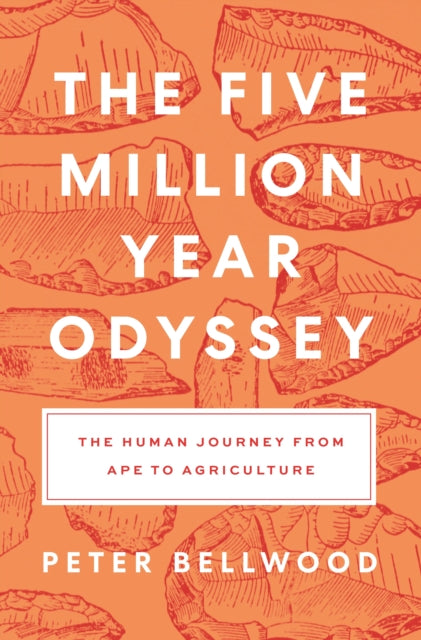 Binding: Paperback
Description: The epic story of human evolution from our primate beginnings more than five million years ago to the agricultural era Over the course of five million years our primate ancestors evolved from a modest population of sub - Saharan apes into the globally dominant species Homo sapiens.