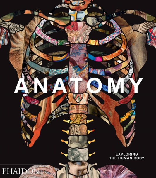 Binding: Hardcover
Description: A stunning tribute to our eternal fascination with the human body Anatomy Exploring the Human Body is a visually compelling survey of more than 5,000 years of image - making.