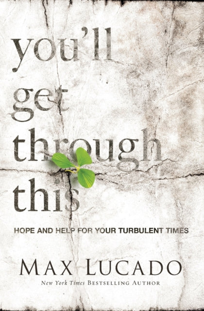 Binding: Paperback
Description: We all fear that the depression will never lift the disappointment will never stop the pain will never leave. Here in the pits surrounded by steep walls we wonder if our gray skies will ever brighten.