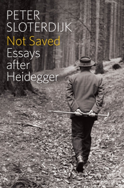 Binding: Paperback
Description: One can rightly say of Peter Sloterdijk that each of his essays and lectures is also an unwritten book. That is why the texts presented here which sketch a philosophical physiognomy of Martin Heidegger should also be characterized as a collected renunciation of exhaustiveness.