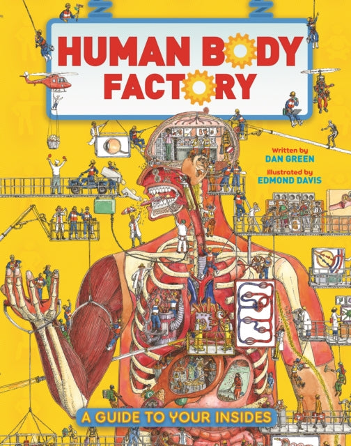 Binding: Hardcover
Description: Step inside the busy bustling factory that is the human body and find out about all the different body parts and systems that keep whirring night and day! The Human Body Factory is an action - packed and informative guide to your insides.