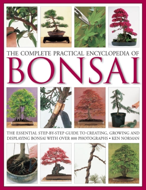 Binding: Hardcover
Description: This book defines and describes the ancient craft of bonsai. The techniques of this precise art form are clearly described and provides a stunning and fully comprehensive reference that is ideal for the beginner as well as the more experienced bonsai artist.