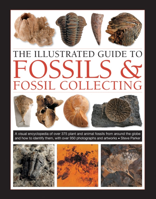 Binding: Hardcover
Description: New and updated edition 2019: A guide to fossils of the world and fossil hunting including how to plan a field trip with a fully illustrated directory of more than 375 fossils.
