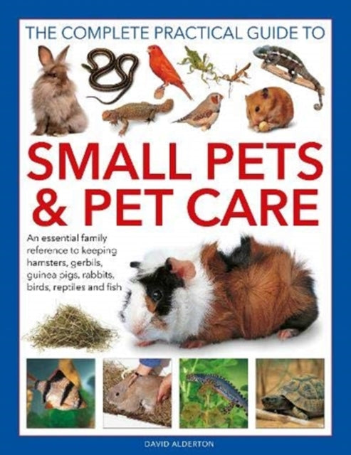 Alderton David - Small Pets And Pet Care The Complete Practical Guide To An Essential Family Reference To Keeping Hamsters Gerbils Guinea Pigs Rabbits Birds Reptiles And Fish - Hardcover
