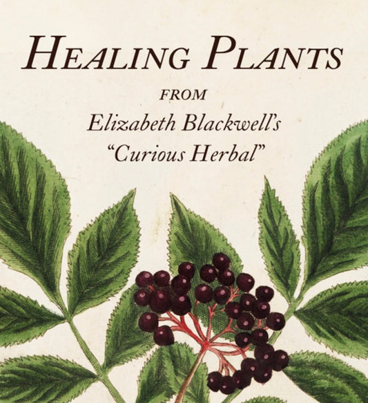 Binding: Hardcover
Description: A miniature treasury of medicinal plants drawn from the work of a pioneering woman artist. This miniature book contains a veritable garden of healing plants specially chosen from Elizabeth Blackwell's Curious Herbal (1737 39).