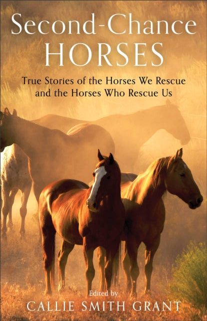 Binding: Paperback
Description: This heartwarming collection of 30 true stories celebrates the beauty of horses and the power of second chances.